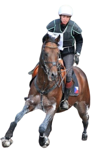 Fotografie z jezdeckého sportu