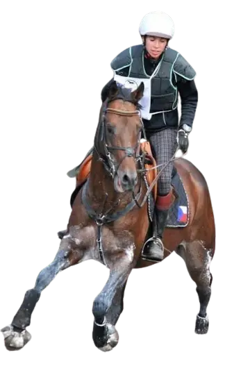 Fotografie z jezdeckého sportu